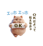 エッホエッホ 毎日使える！まん丸猫（個別スタンプ：7）