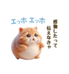 エッホエッホ 毎日使える！まん丸猫（個別スタンプ：8）