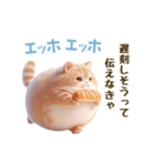 エッホエッホ 毎日使える！まん丸猫（個別スタンプ：9）