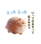 エッホエッホ 毎日使える！まん丸猫（個別スタンプ：12）