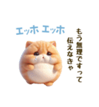 エッホエッホ 毎日使える！まん丸猫（個別スタンプ：14）