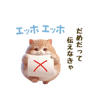 エッホエッホ 毎日使える！まん丸猫（個別スタンプ：15）