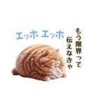 エッホエッホ 毎日使える！まん丸猫（個別スタンプ：18）