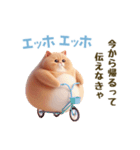 エッホエッホ 毎日使える！まん丸猫（個別スタンプ：19）