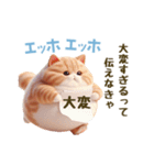 エッホエッホ 毎日使える！まん丸猫（個別スタンプ：20）