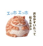 エッホエッホ 毎日使える！まん丸猫（個別スタンプ：21）