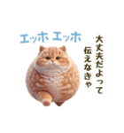 エッホエッホ 毎日使える！まん丸猫（個別スタンプ：22）