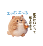 エッホエッホ 毎日使える！まん丸猫（個別スタンプ：26）