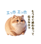エッホエッホ 毎日使える！まん丸猫（個別スタンプ：30）