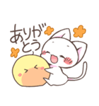 こにゃんこと。3（個別スタンプ：1）