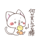 こにゃんこと。3（個別スタンプ：30）