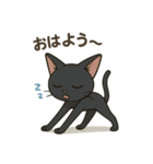 黒猫幸君の日常（個別スタンプ：1）