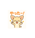 ゆるふわチワワの気持ち（個別スタンプ：1）