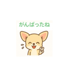 ゆるふわチワワの気持ち（個別スタンプ：7）