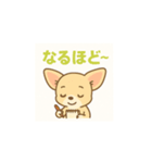 ゆるふわチワワの気持ち（個別スタンプ：11）