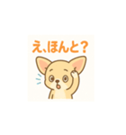 ゆるふわチワワの気持ち（個別スタンプ：12）