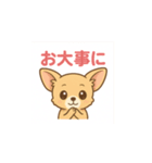 ゆるふわチワワの気持ち（個別スタンプ：15）