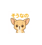ゆるふわチワワの気持ち（個別スタンプ：16）