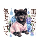 ずっと使える柴犬の日常（個別スタンプ：4）
