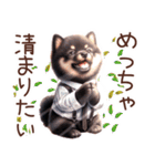 ずっと使える柴犬の日常（個別スタンプ：6）