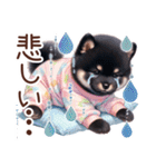 ずっと使える柴犬の日常（個別スタンプ：9）