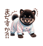 ずっと使える柴犬の日常（個別スタンプ：13）