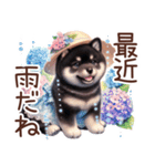 ずっと使える柴犬の日常（個別スタンプ：34）