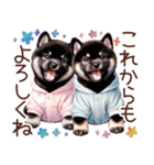 ずっと使える柴犬の日常（個別スタンプ：37）