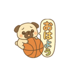 玉乗りバスケパグ（個別スタンプ：1）