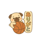 玉乗りバスケパグ（個別スタンプ：3）