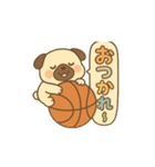 玉乗りバスケパグ（個別スタンプ：5）