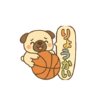 玉乗りバスケパグ（個別スタンプ：6）