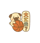 玉乗りバスケパグ（個別スタンプ：8）