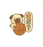 玉乗りバスケパグ（個別スタンプ：9）
