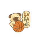 玉乗りバスケパグ（個別スタンプ：10）