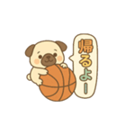 玉乗りバスケパグ（個別スタンプ：12）