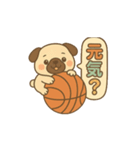 玉乗りバスケパグ（個別スタンプ：13）
