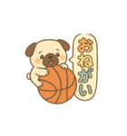 玉乗りバスケパグ（個別スタンプ：14）