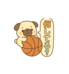 玉乗りバスケパグ（個別スタンプ：16）