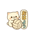 玉乗りバレーネコ（個別スタンプ：1）