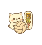 玉乗りバレーネコ（個別スタンプ：13）