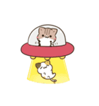 動く！毎日五月病な犬とねこたち 省スペース（個別スタンプ：4）