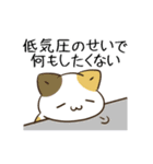 動く！毎日五月病な犬とねこたち 省スペース（個別スタンプ：9）