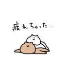 動く！真顔ふれんず。くまとねこ（個別スタンプ：18）