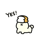 動く！ビションフリーゼ。（個別スタンプ：1）