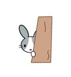 灰色うさぎと赤狐（個別スタンプ：3）