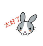 灰色うさぎと赤狐（個別スタンプ：5）