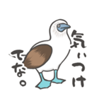 クセつよ！アオアシのおっちゃん（個別スタンプ：7）