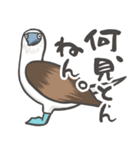 クセつよ！アオアシのおっちゃん（個別スタンプ：33）