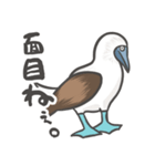 クセつよ！アオアシのおっちゃん（個別スタンプ：36）
